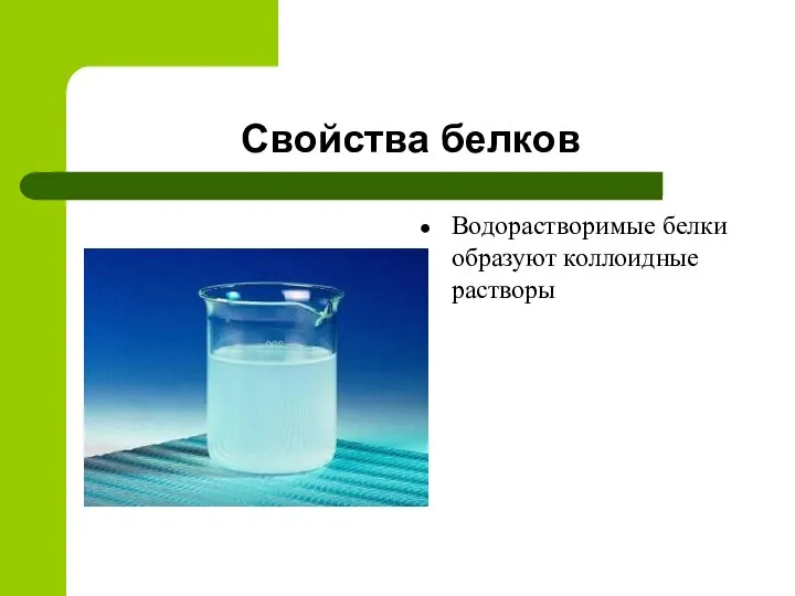 Свойства белков Водорастворимые белки образуют коллоидные растворы