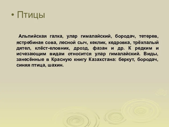 Птицы Альпийская галка, улар гималайский, бородач, тетерев, ястребиная сова, лесной сыч,