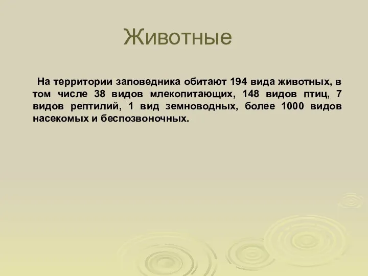 Животные На территории заповедника обитают 194 вида животных, в том числе