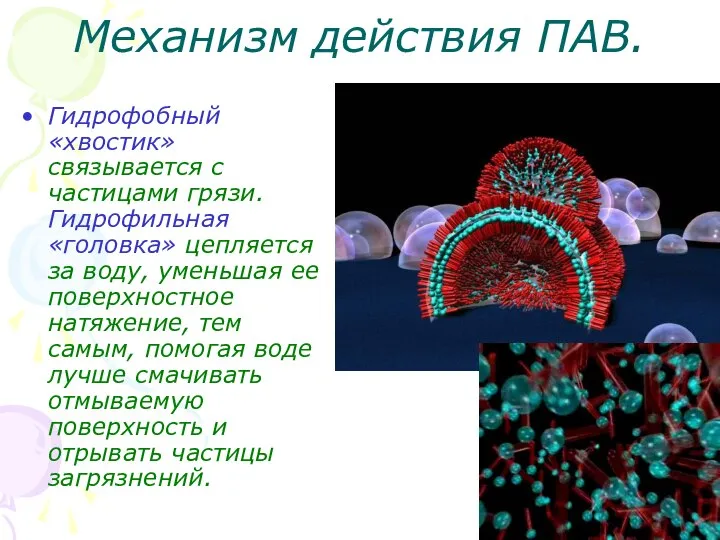 Механизм действия ПАВ. Гидрофобный «хвостик» связывается с частицами грязи. Гидрофильная «головка»