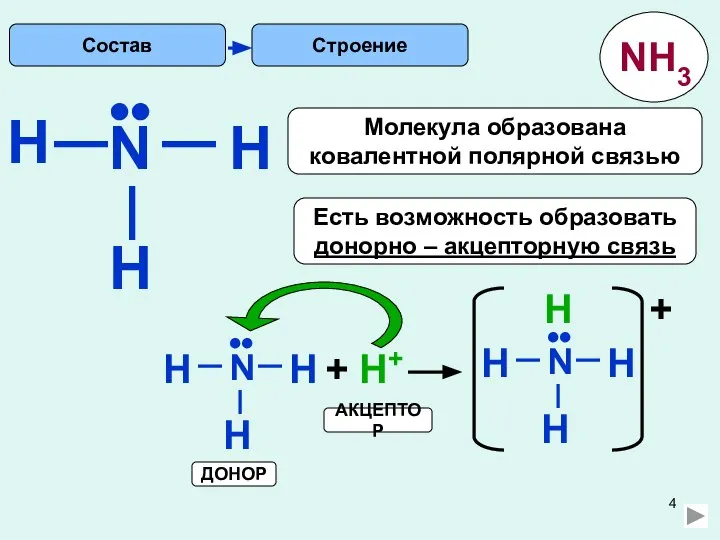 H Строение N H H •• Есть возможность образовать донорно –