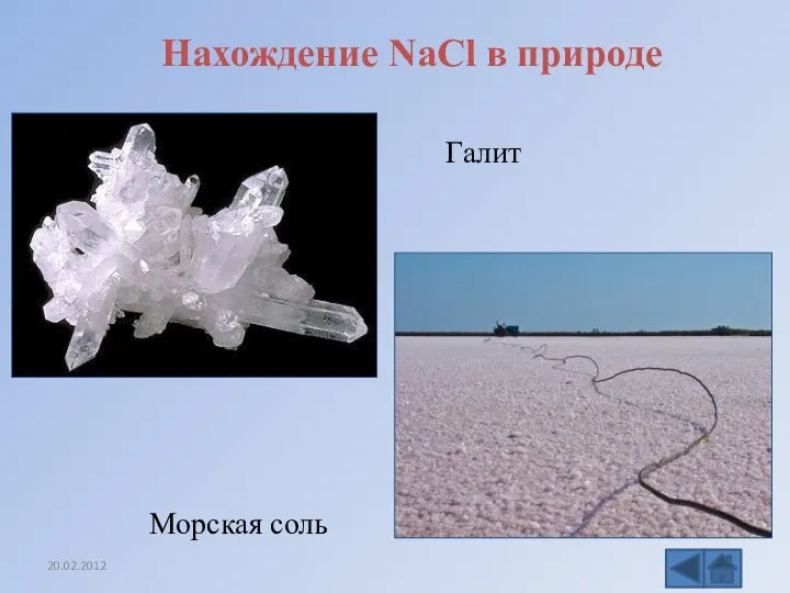 Нахождение NaCl в природе Галит Морская соль