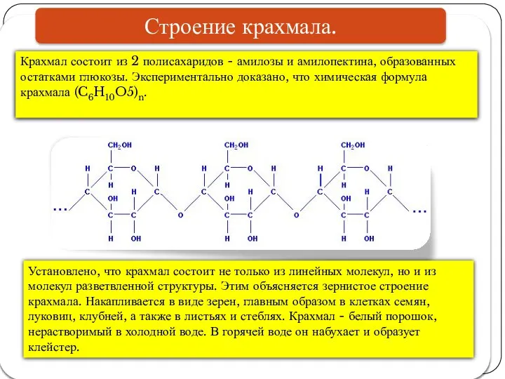 Крахмал состоит из 2 полисахаридов - амилозы и амилопектина, образованных остатками