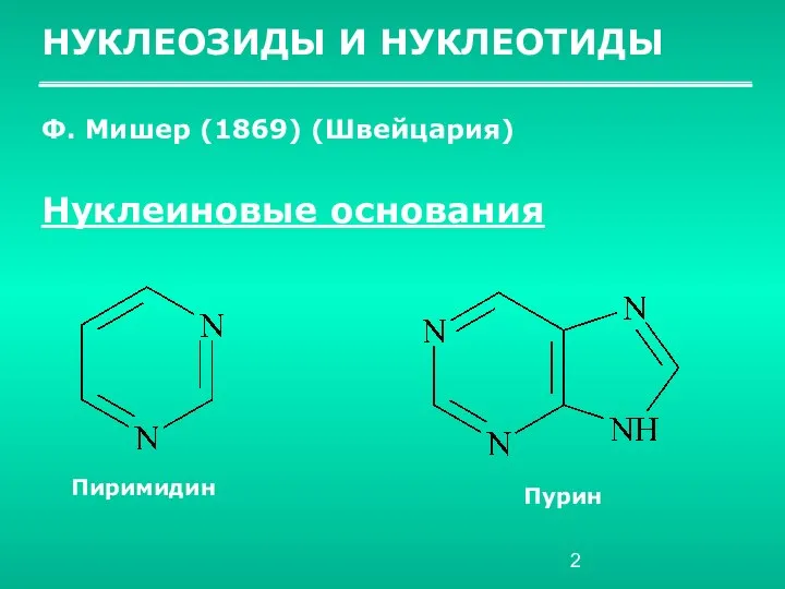 НУКЛЕОЗИДЫ И НУКЛЕОТИДЫ Ф. Мишер (1869) (Швейцария) Нуклеиновые основания Пиримидин Пурин