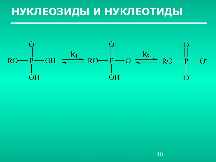 НУКЛЕОЗИДЫ И НУКЛЕОТИДЫ