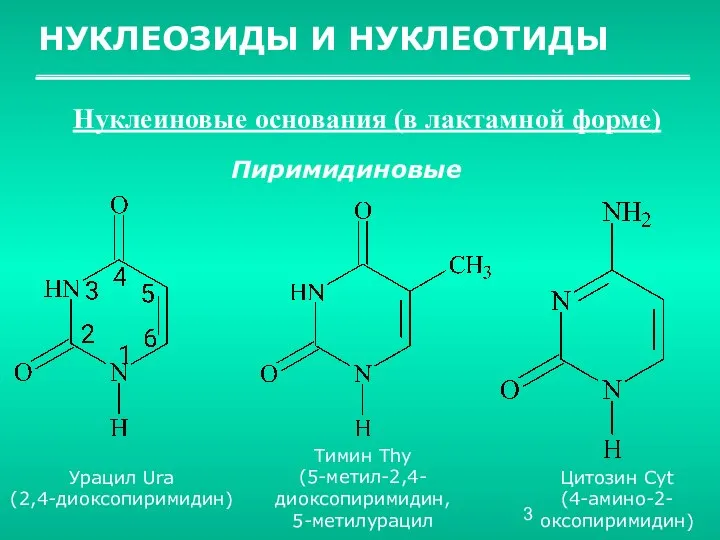 НУКЛЕОЗИДЫ И НУКЛЕОТИДЫ Нуклеиновые основания (в лактамной форме) Пиримидиновые Урацил Ura