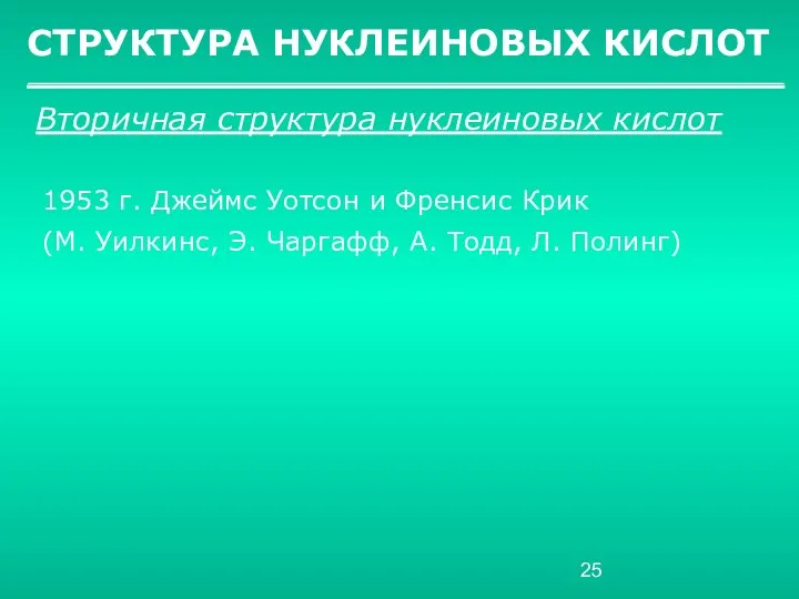 СТРУКТУРА НУКЛЕИНОВЫХ КИСЛОТ Вторичная структура нуклеиновых кислот 1953 г. Джеймс Уотсон