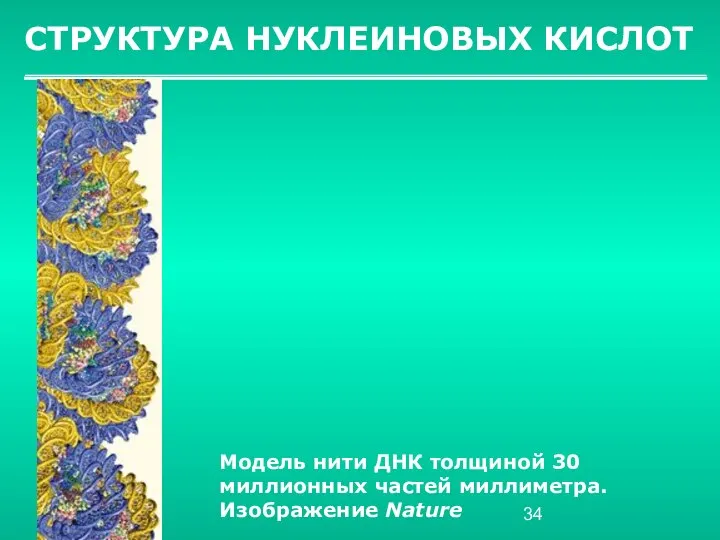 СТРУКТУРА НУКЛЕИНОВЫХ КИСЛОТ Модель нити ДНК толщиной 30 миллионных частей миллиметра. Изображение Nature