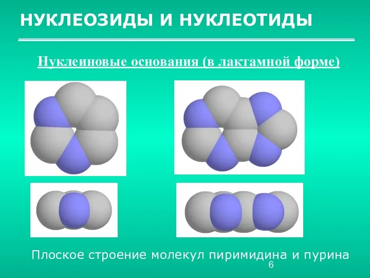 НУКЛЕОЗИДЫ И НУКЛЕОТИДЫ Нуклеиновые основания (в лактамной форме) Плоское строение молекул пиримидина и пурина