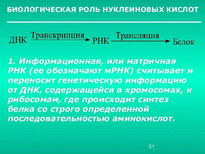 БИОЛОГИЧЕСКАЯ РОЛЬ НУКЛЕИНОВЫХ КИСЛОТ 1. Информационная, или матричная РНК (ее обозначают