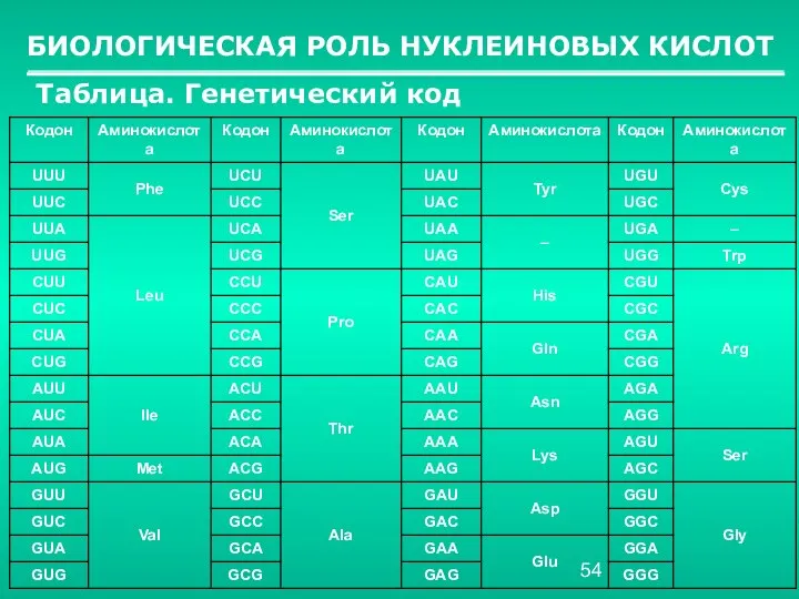 БИОЛОГИЧЕСКАЯ РОЛЬ НУКЛЕИНОВЫХ КИСЛОТ Таблица. Генетический код