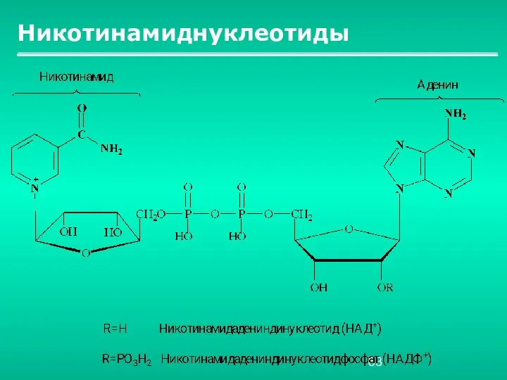 Никотинамиднуклеотиды