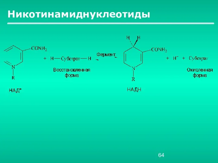 Никотинамиднуклеотиды