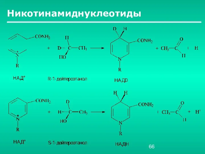 Никотинамиднуклеотиды