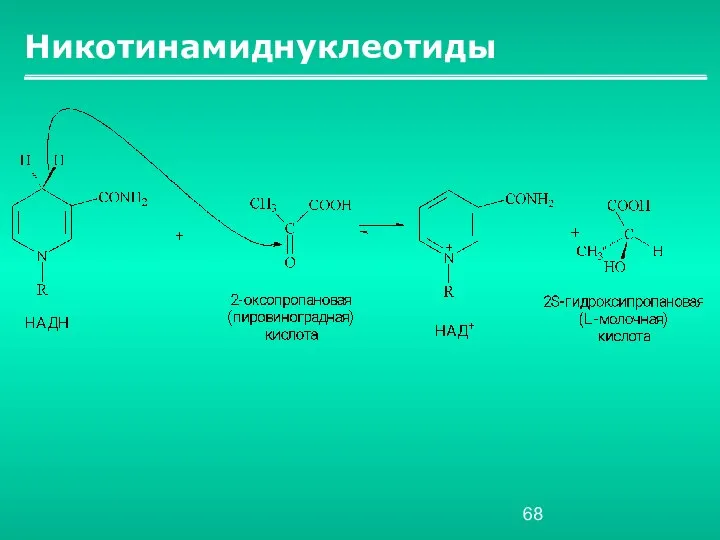 Никотинамиднуклеотиды