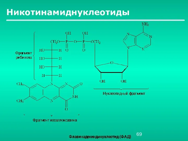 Никотинамиднуклеотиды