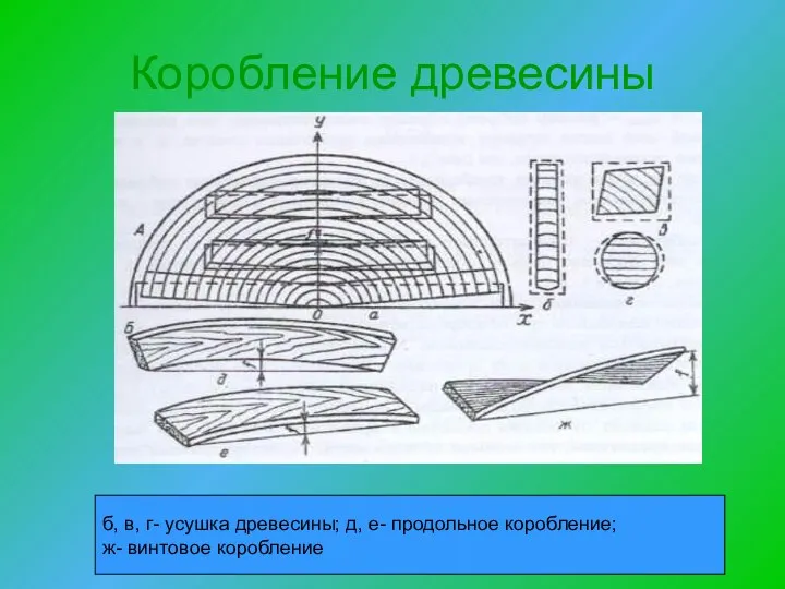 Коробление древесины б, в, г- усушка древесины; д, е- продольное коробление; ж- винтовое коробление