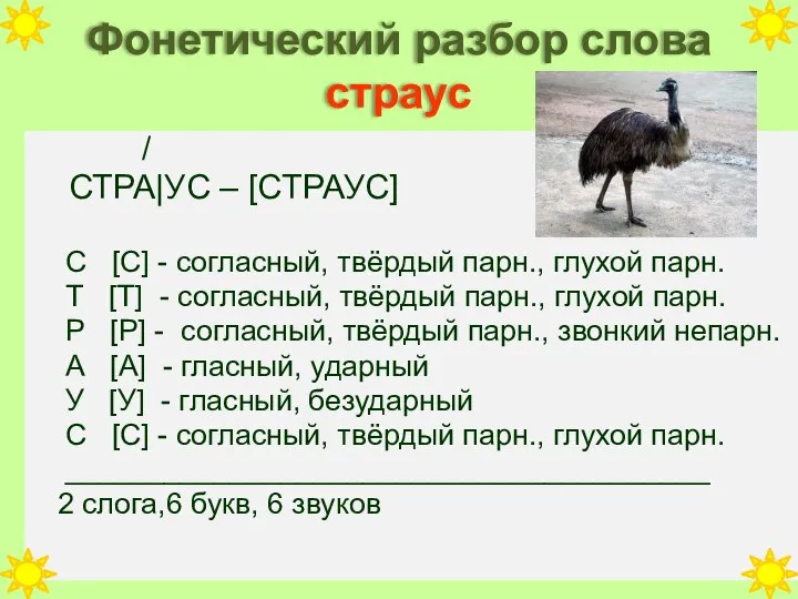 Фонетический разбор слова страус / СТРА|УС – [CТРАУС] С [С] -