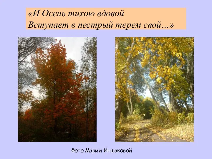 «И Осень тихою вдовой Вступает в пестрый терем свой…» Фото Марии Иншаковой