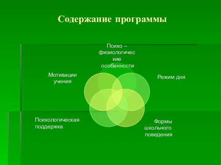 Содержание программы Психологическая поддержка