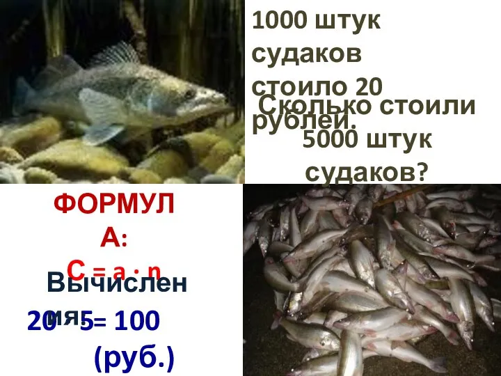 1000 штук судаков стоило 20 рублей. Сколько стоили 5000 штук судаков?