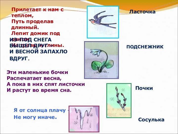 Прилетает к нам с теплом, Путь проделав длинный. Лепит домик под