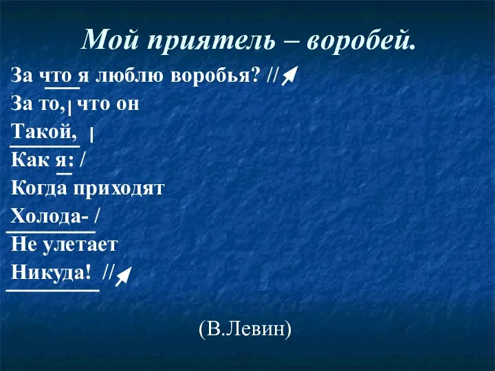 Мой приятель – воробей. За что я люблю воробья? // За