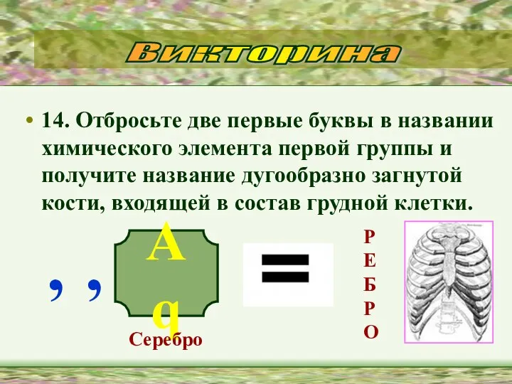 14. Отбросьте две первые буквы в названии химического элемента первой группы