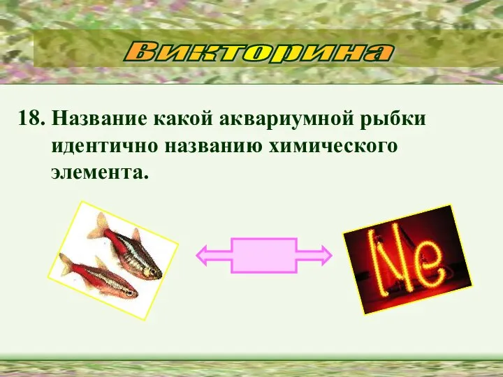 18. Название какой аквариумной рыбки идентично названию химического элемента. Викторина