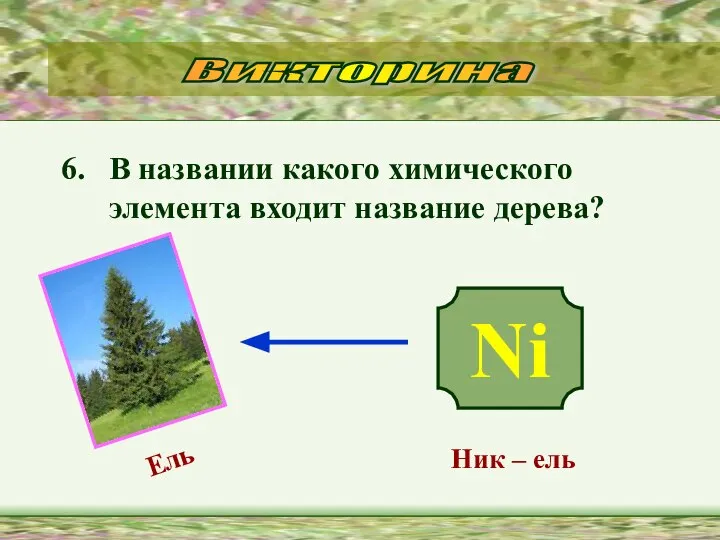 6. В названии какого химического элемента входит название дерева? Викторина Ni Ник – ель Ель