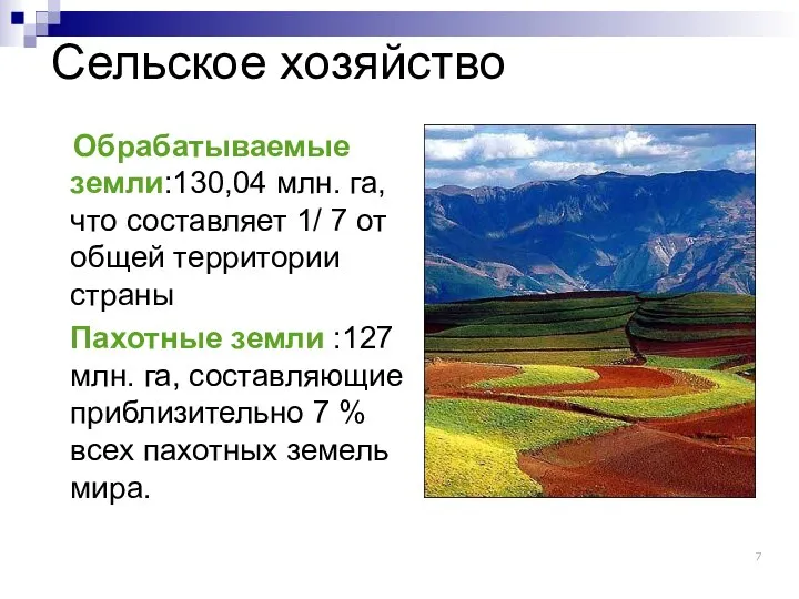 Сельское хозяйство Обрабатываемые земли:130,04 млн. га, что составляет 1/ 7 от