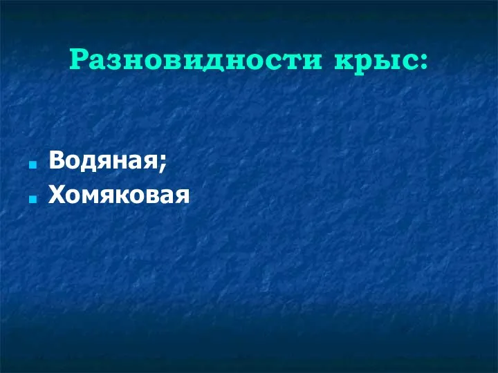 Разновидности крыс: Водяная; Хомяковая