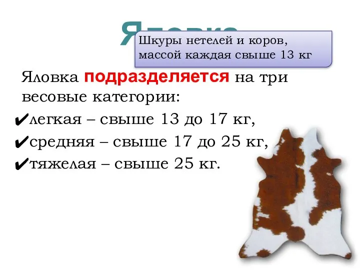 Яловка Яловка подразделяется на три весовые категории: легкая – свыше 13