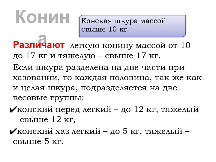 Конина Различают легкую конину массой от 10 до 17 кг и