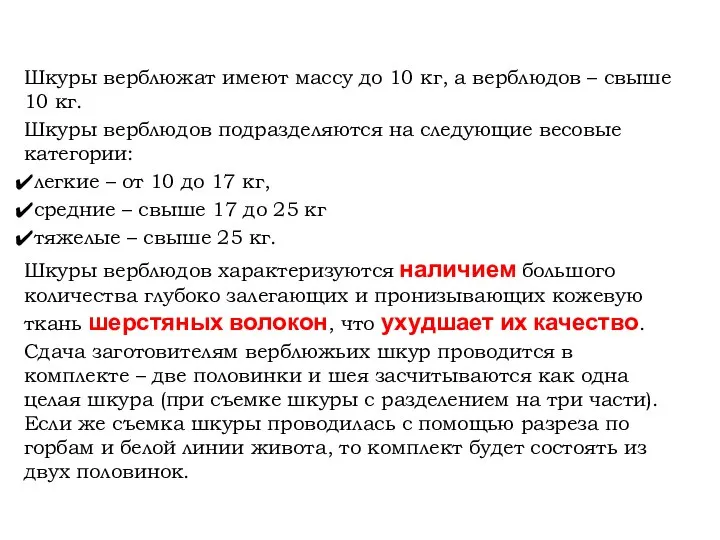 Шкуры верблюжат имеют массу до 10 кг, а верблюдов – свыше