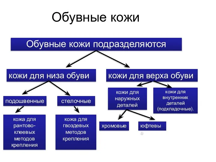 Обувные кожи Обувные кожи подразделяются кожи для низа обуви кожи для