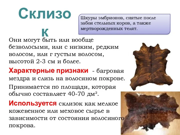 Склизок Они могут быть или вообще безволосыми, или с низким, редким