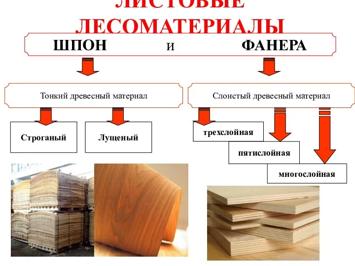 ЛИСТОВЫЕ ЛЕСОМАТЕРИАЛЫ ШПОН и ФАНЕРА Строганый трехслойная Слоистый древесный материал Тонкий древесный материал Лущеный пятислойная многослойная