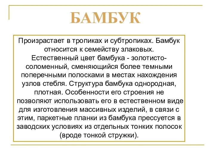 Произрастает в тропиках и субтропиках. Бамбук относится к семейству злаковых. Естественный