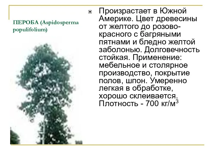 ПЕРОБА (Aspidosperma populifolium) Произрастает в Южной Америке. Цвет древесины от желтого