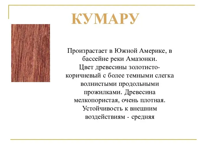 Произрастает в Южной Америке, в бассейне реки Амазонки. Цвет древесины золотисто-коричневый