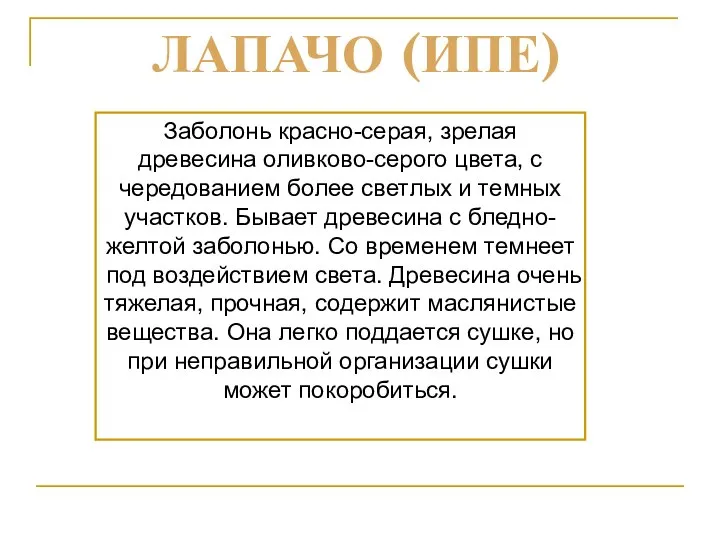 Заболонь красно-серая, зрелая древесина оливково-серого цвета, с чередованием более светлых и