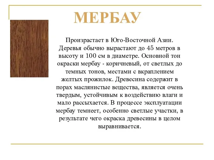 Произрастает в Юго-Восточной Азии. Деревья обычно вырастают до 45 метров в