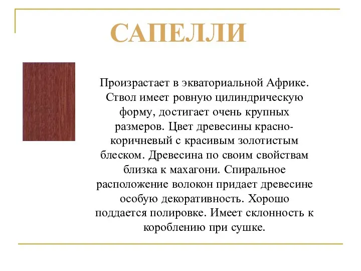 Произрастает в экваториальной Африке. Ствол имеет ровную цилиндрическую форму, достигает очень