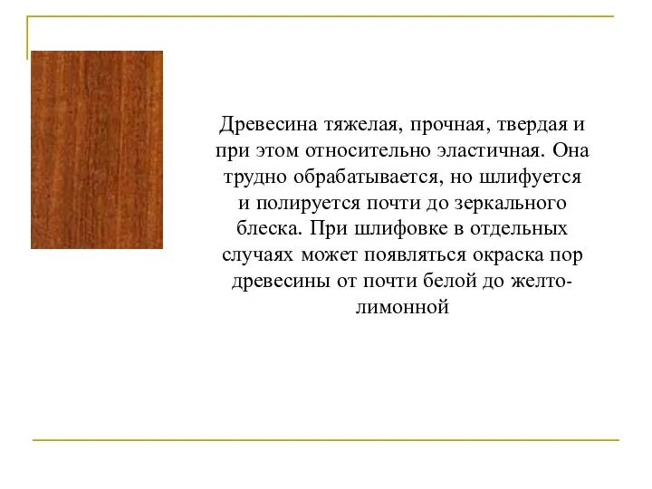 Древесина тяжелая, прочная, твердая и при этом относительно эластичная. Она трудно