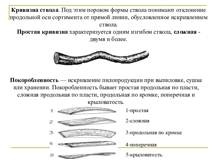 Кривизна ствола. Под этим пороком формы ствола понимают отклонение продольной оси