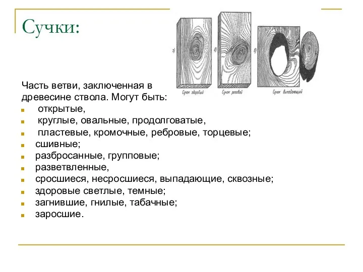 Сучки: Часть ветви, заключенная в древесине ствола. Могут быть: открытые, круглые,