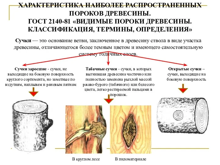 ХАРАКТЕРИСТИКА НАИБОЛЕЕ РАСПРОСТРАНЕННЫХ ПОРОКОВ ДРЕВЕСИНЫ. ГОСТ 2140-81 «ВИДИМЫЕ ПОРОКИ ДРЕВЕСИНЫ. КЛАССИФИКАЦИЯ,