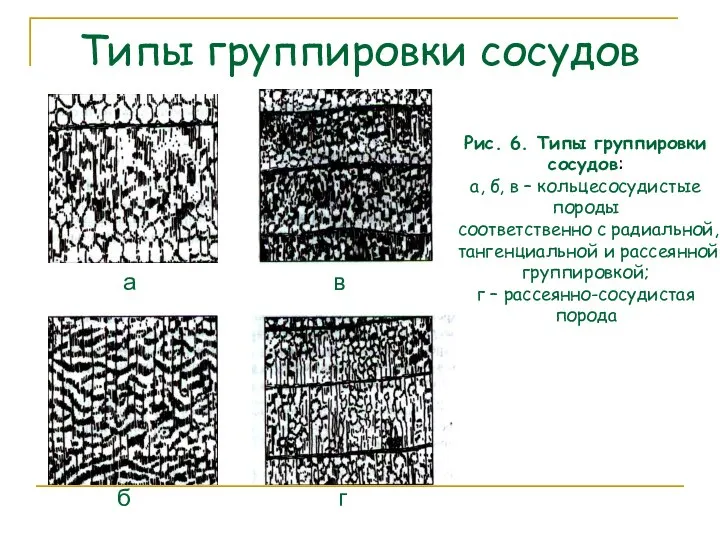 Типы группировки сосудов а в б г Рис. 6. Типы группировки