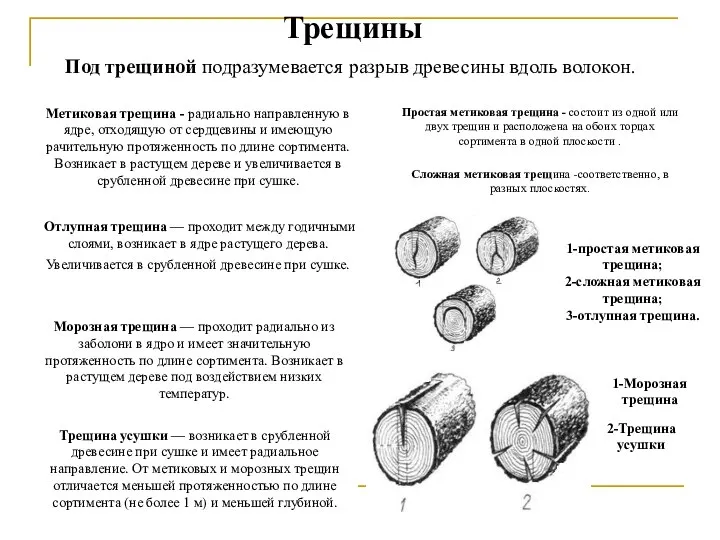 Трещины Под трещиной подразумевается разрыв древесины вдоль волокон. Метиковая трещина -